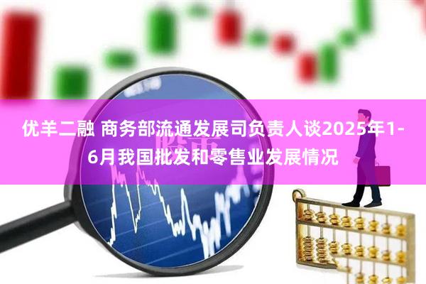 优羊二融 商务部流通发展司负责人谈2025年1-6月我国批发和零售业发展情况